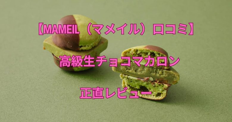 【MAMEIL（マメイル）口コミ】高級生チョコマカロンをAI副業のご褒美に買ってみた正直レビュー